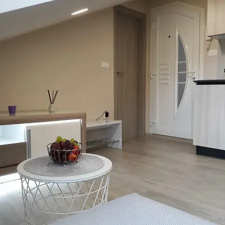 Center Dalu Apartment Pula